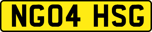NG04HSG