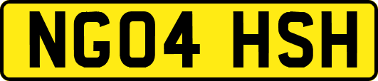 NG04HSH