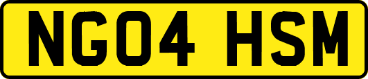 NG04HSM