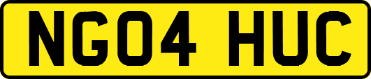 NG04HUC