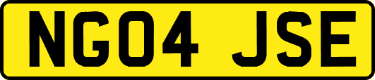 NG04JSE