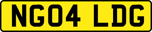 NG04LDG