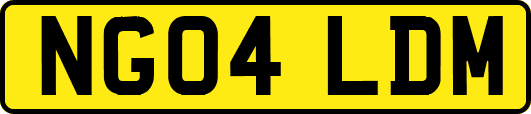 NG04LDM