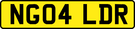 NG04LDR