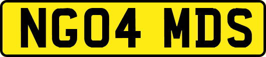 NG04MDS