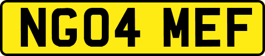 NG04MEF