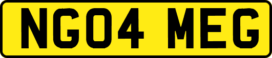NG04MEG