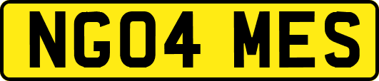 NG04MES