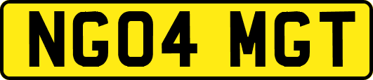 NG04MGT