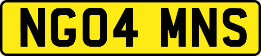 NG04MNS