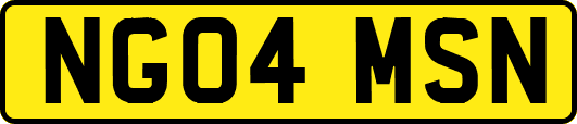 NG04MSN