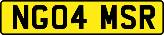 NG04MSR