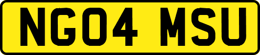 NG04MSU