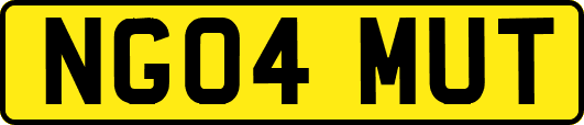 NG04MUT