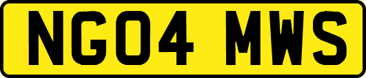 NG04MWS