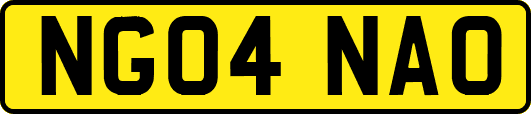 NG04NAO