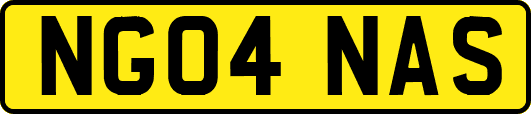 NG04NAS
