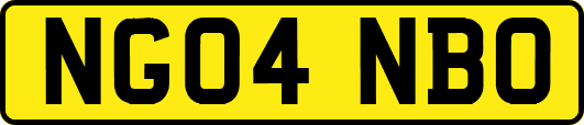 NG04NBO
