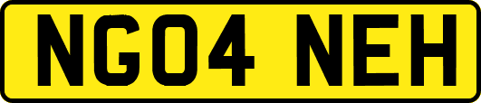 NG04NEH