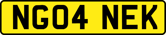 NG04NEK