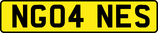 NG04NES
