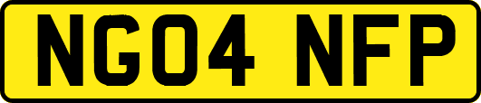NG04NFP