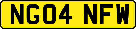 NG04NFW