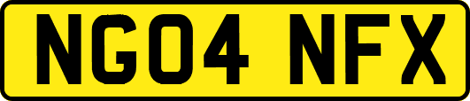 NG04NFX