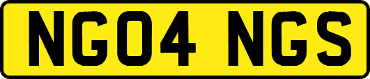 NG04NGS