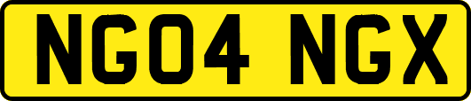 NG04NGX