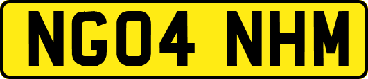 NG04NHM