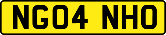 NG04NHO