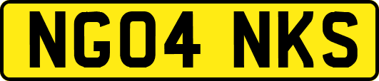 NG04NKS