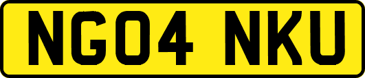NG04NKU