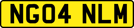 NG04NLM