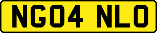 NG04NLO