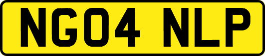 NG04NLP