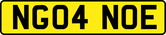 NG04NOE
