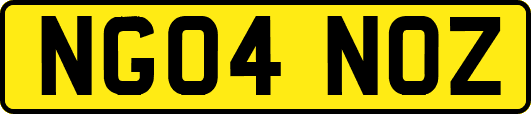 NG04NOZ