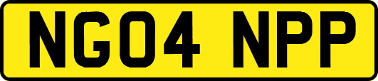 NG04NPP