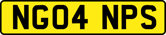 NG04NPS