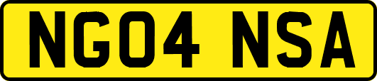 NG04NSA