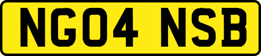 NG04NSB