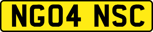 NG04NSC