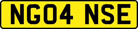 NG04NSE