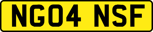 NG04NSF