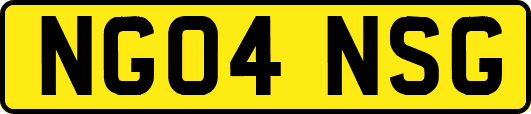 NG04NSG