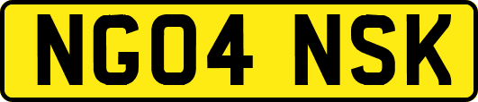 NG04NSK