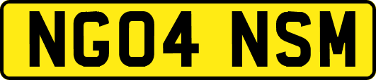 NG04NSM