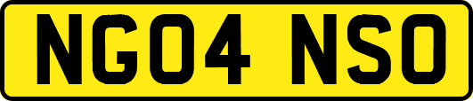 NG04NSO